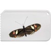 Azeeda 'Postman Butterfly' Plastic Ice Scraper (IC00033896)