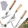 TLDNZXY Hand Weeder 3 Pieces Stainless Steel Weeder with Wooden