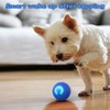 2PC Shaky Ball Toy for Dogs,Interactive Dog Toys,2025 New Vibrating