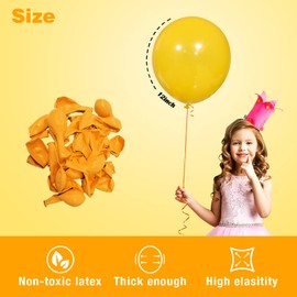 Light Orange Balloons,12 inch Orange Yellow Latex Balloons for Theme Party Decoration, Weddings, Baby Shower, Birthday Parties Supplies