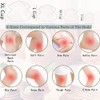 4 Sizes Cupping Therapy Set-Professional Cupping Therapy Studio and Household
