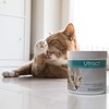 maxxipaws maxxiUtract Urinary and Bladder Supplement for Cats to Help