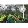 AirGrean Pro Wall Mount Fan 18 Inch, Hurricane Speed with