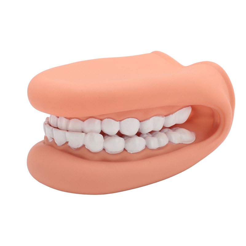 Mouth Puppet with Tongue 28 Teeth Silicone Speech Therapy Demonstration