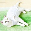 PetGround Cat Postoperative Clothes, Female and Male, Easy to Put