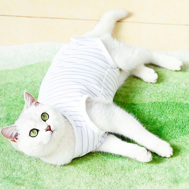 PetGround Cat Postoperative Clothes, Female and Male, Easy to Put