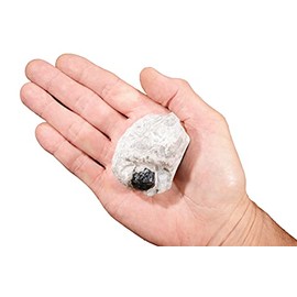 Rock Your Chakra Apache Tear in Perlite 3" 8-12 Oz Rough Root Chakra Rocks and Minerals Healing Crystals and Stones Specimen Reiki