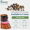 DowgClub | Genuine Leather Padded Buckle Dog Collar | Full