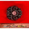 Papaver rhoeas (Corn Poppy, Red) Flower Seeds, Eye-Catching Appearance, Highly