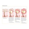 AESTHETICO Fruit Complex Body & Face Lotion - Skin Smoothing