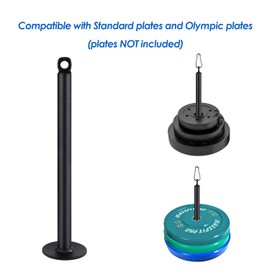 Zepofit Weight Loading Pin for Cable Lifting - Home Gym LAT Weight Pulling System Equipment Training Exerciser Pulley System Attachment Workout Accessories (Loading pin 1 inch Rod)