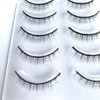 D-ONE Natural 5 Pairs False Eyelashes (A02 Natural Basic)