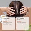 ,shampoo De Romero Para Anti Caida De Cabello 118ml ,