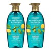 Organist Shampoo Peppermint Dandruff Cooling 500ml 2pcs / 오가니스트 샴푸