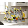 Clean & Clear Stone, Granite, Marble, and Stone Cleaner, 12