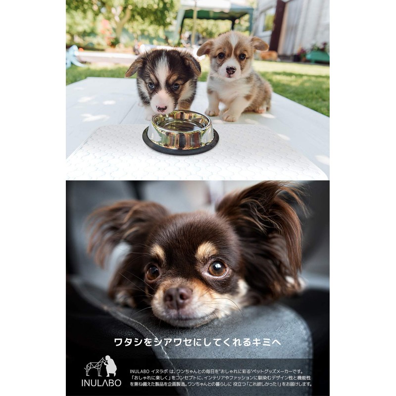 Inulabo Washable Pet Sheets, XXL, Pee Mat, Fully Washable, Reusable