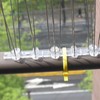 Bird Spikes 304 Stainless Steel Wire Rust Proof Plastic Base
