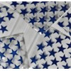1000-2" x 2" 2020 Blue Star Zipper Lock Baggies Craft