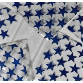 1000-2" x 2" 2020 Blue Star Zipper Lock Baggies Craft Resealable Plastic Baggy 2 Mil Zipper Poly Bags