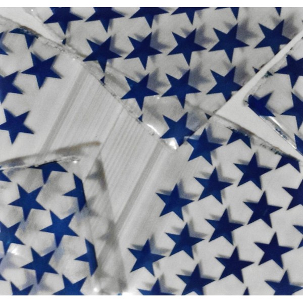 1000-2" x 2" 2020 Blue Star Zipper Lock Baggies Craft