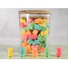 Smarty Stop Gummy Bear (Sour Neon Bear, 1 Pound (Pack