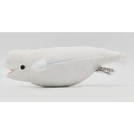 bh6651 hansa beluga whale 25