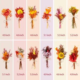 WGXX 10/12/24 Pack Dried Flowers for Vase Various Mini Bouquet Dried Small Wildflowers Natural Real Flowers Bulk for Crafts DIY Wedding Decor (12, Autumn Color)