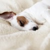 Snug Rug Cream Blanket Sherpa Fleece Luxury For Sofa Blankets