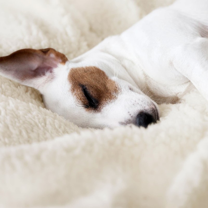 Snug Rug Cream Blanket Sherpa Fleece Luxury For Sofa Blankets