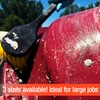Tenon Concrete & Masonry Dissolver - Remove Concrete, Cement, Mortar,