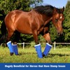 Harrison Howard Loose-Fitting Horse Fly Boots UV-Protective, Breathable, Tear-Resistant Fine