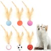 prota 6 PCS Cat Bouncy Ball With Feather, Bouncy Tails
