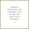 Goldwell Dualsenses Rich Repair Shampoo 10.1 oz