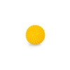 AFH Hedgehog Ball Massage Ball Massage Rubber Spiked Ball Reflex