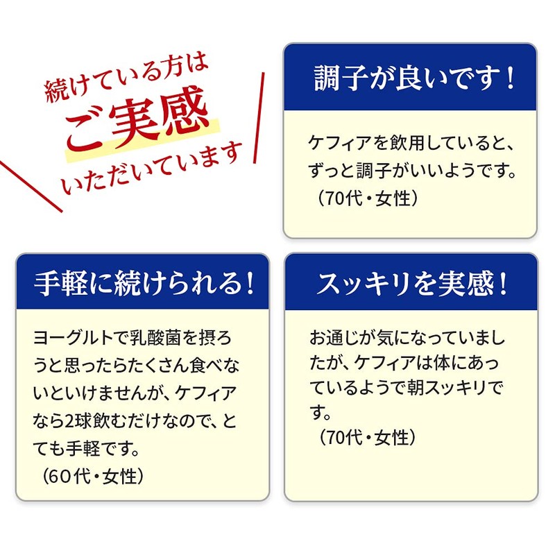 山田養蜂場 乳酸菌と酵母のチカラ ケフィア 64球/袋入 ハードカプセル