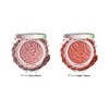 Physicians Formula Murumuru Butter Blush Makeup Powder, Saucy Mauve, Dermatologist