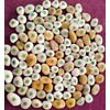 ROCKIMPACT 50 Pieces Four Leaf Clover Good Luck Pocket Rocks,