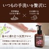 Tokyo Saraya Washbone Prime Foam Sweet Floral Refill, 16.9 fl