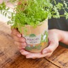 Carrots in cup by "Die Stadtgärtner" | Growing set for