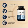 Suplemento DHEA 100 mg – 240 Cápsulas de Alta Potencia –
