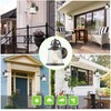 GRUENLICH Outdoor Wall Lantern, Wall Sconce as Porch Lighting Fixture,