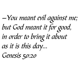 Tapestry Of Truth - Genesis 50:20 - TOT9401 - Wall and Home Scripture, Lettering, Quotes, Images, Stickers, Decals, Art, and More! - –You Meant Evil Against me; but God Meant it for Good, in orde...