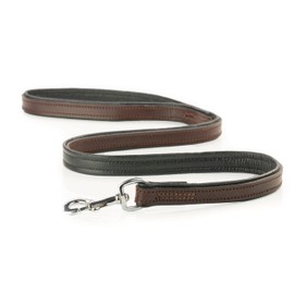 Leather Dog Lead 1 m - Leather Lead for Dogs - Double-Layer Genuine Leather Lead Made of Sturdy Greased Leather and Soft, Padded Buffalo Leather with Stainless Steel Carabiner - Alan (Brown)