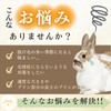 Rabbit Brush Rabbit Comb Comb Rabbit Brushing Toy Rabbit Guinea
