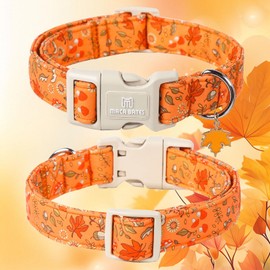 Maca Bates Fall Dog Collar Red Maple Leaf Print Autumn Dogs Collars Durable Comfortable Adjustable Puppy Colar Birthday Gift for Extra Small Medium Large Girl Boy Female Male Pet with White Buckle
