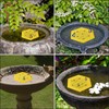 NQEUEPN Floating Bee Island, Bee Cup Honey Drinker Outdoor Stable