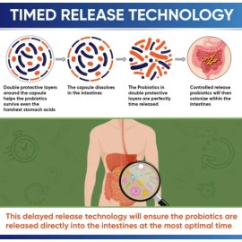 100 Billones Probióticos Orgánicos Cfu Enzimas Digestivas Sabor S/N