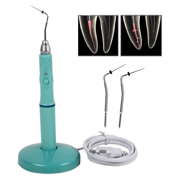BoNew-Oral Wireless Cordless Gutta Percha Obturation Heated Pen 2Tips Endodontic