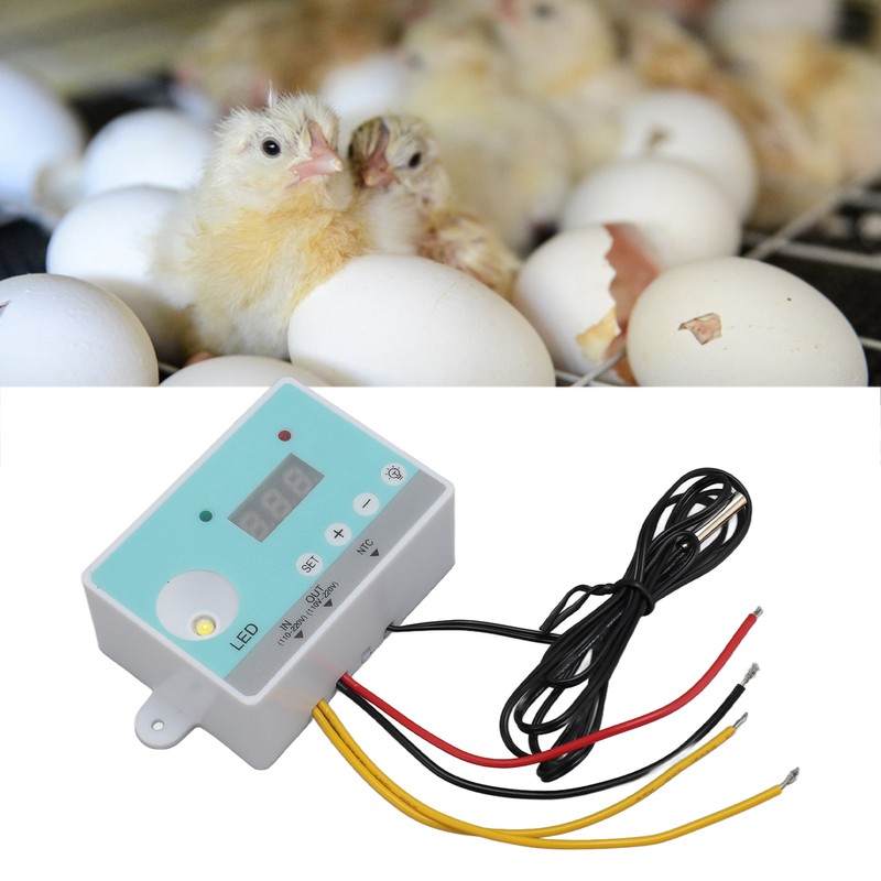 Automatic Incubator Temperature Controller with HD Display High Accuracy Incubator
