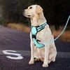 IVY&LANE No Pull Dog Harness with Leash Set, Reflective No